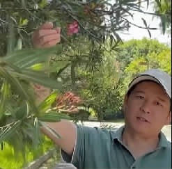 汪勇：科普身边植物，他靠“硬核”知识走红