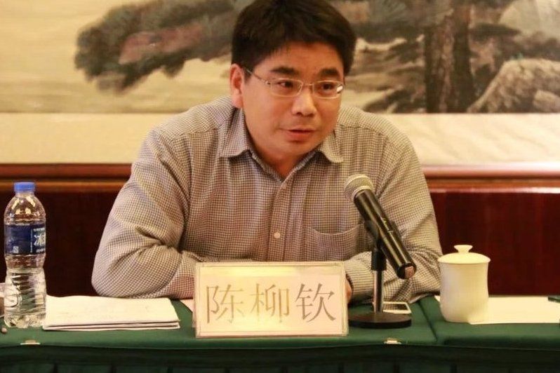 陈柳钦 | 钦点智库创始人兼理事长