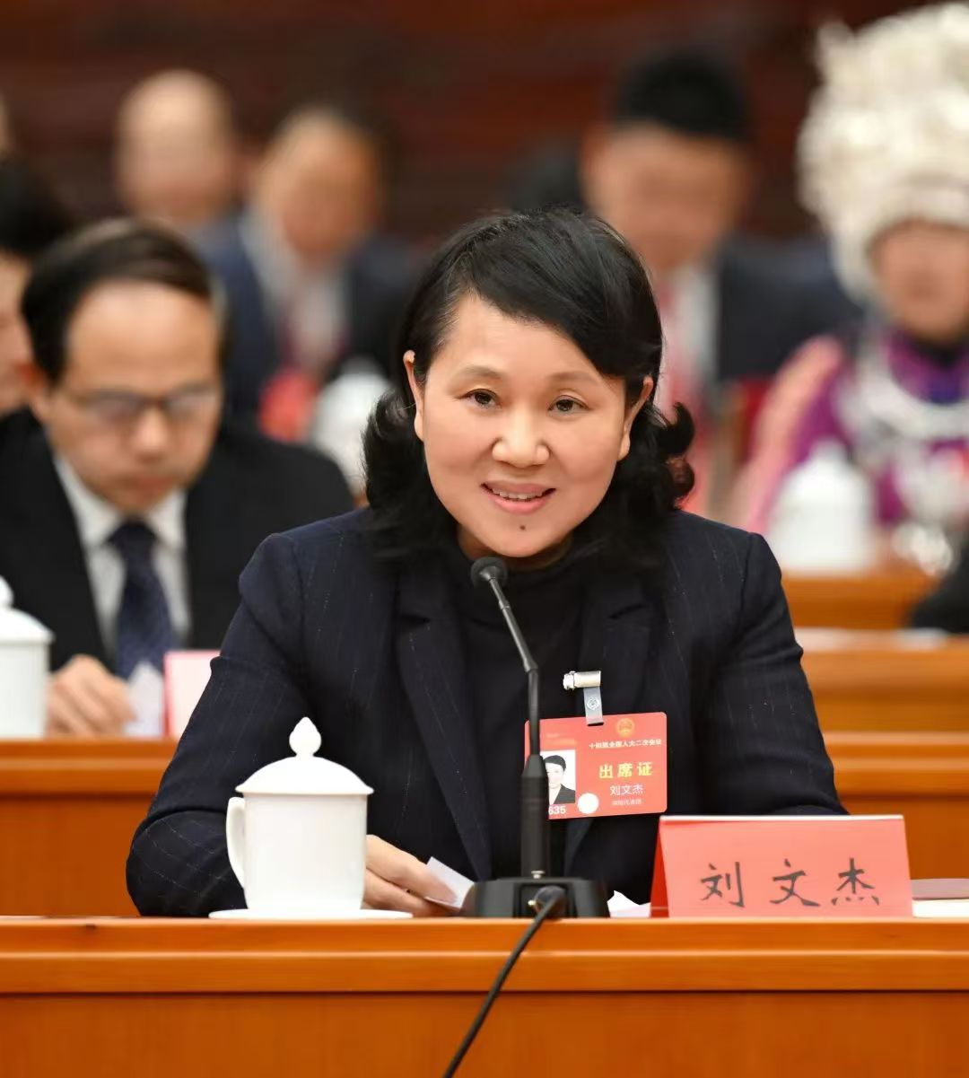 刘文杰：湖南省财政厅厅长