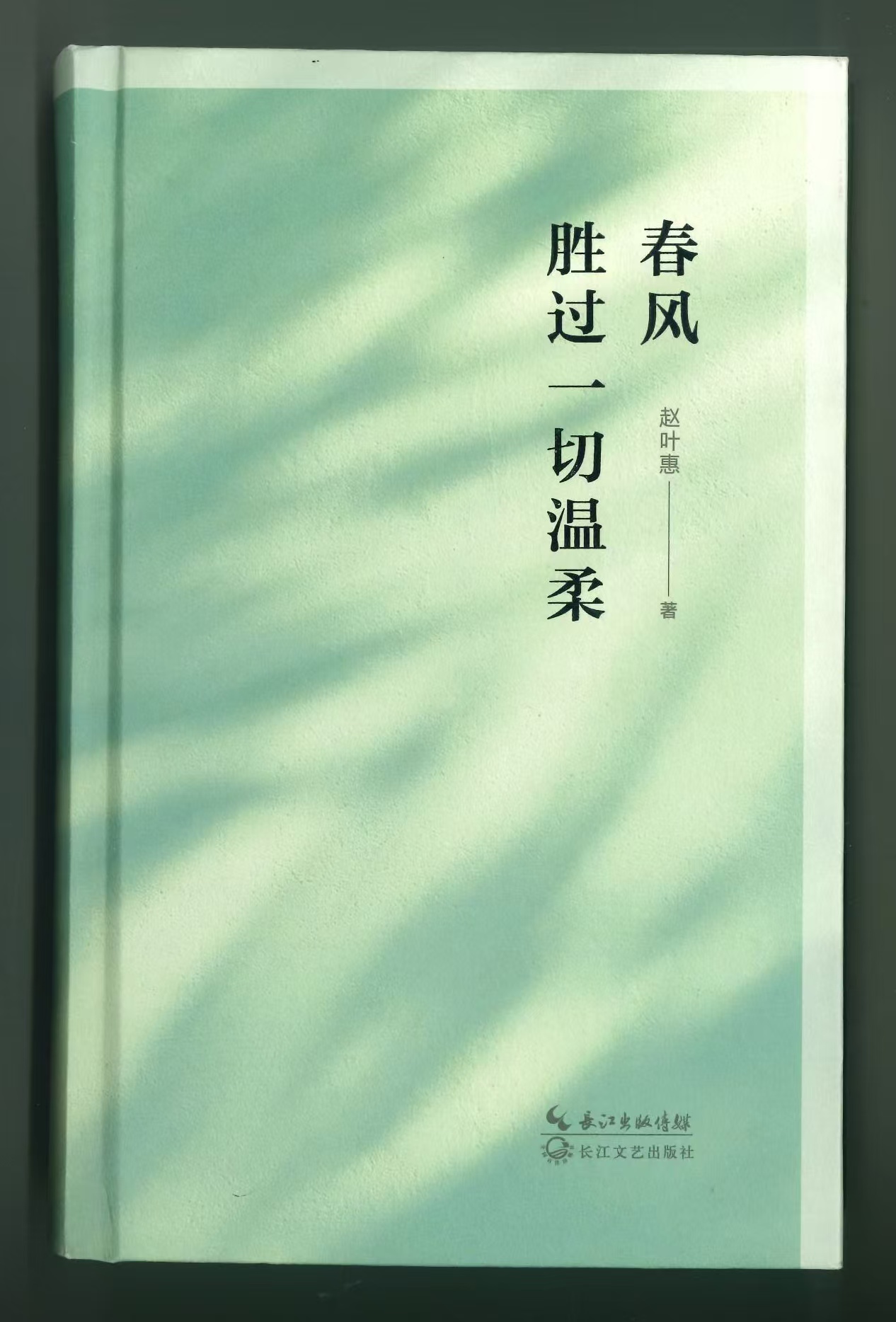 赵叶惠诗集《春风胜过一切温柔》出版   