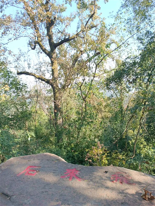 闲聊长沙：岳麓山轻易被忽略的一座古代名人墓