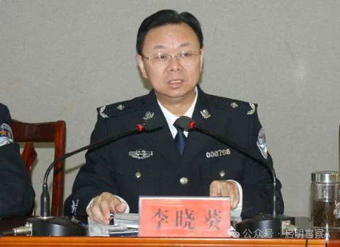 从扫黑先锋到黑恶保护伞：湖南省邵阳市人民政府原副市长、市公安局原局长李晓葵的堕落之路