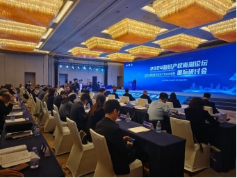 2024年知识产权南湖论坛国际研讨会在长沙举行