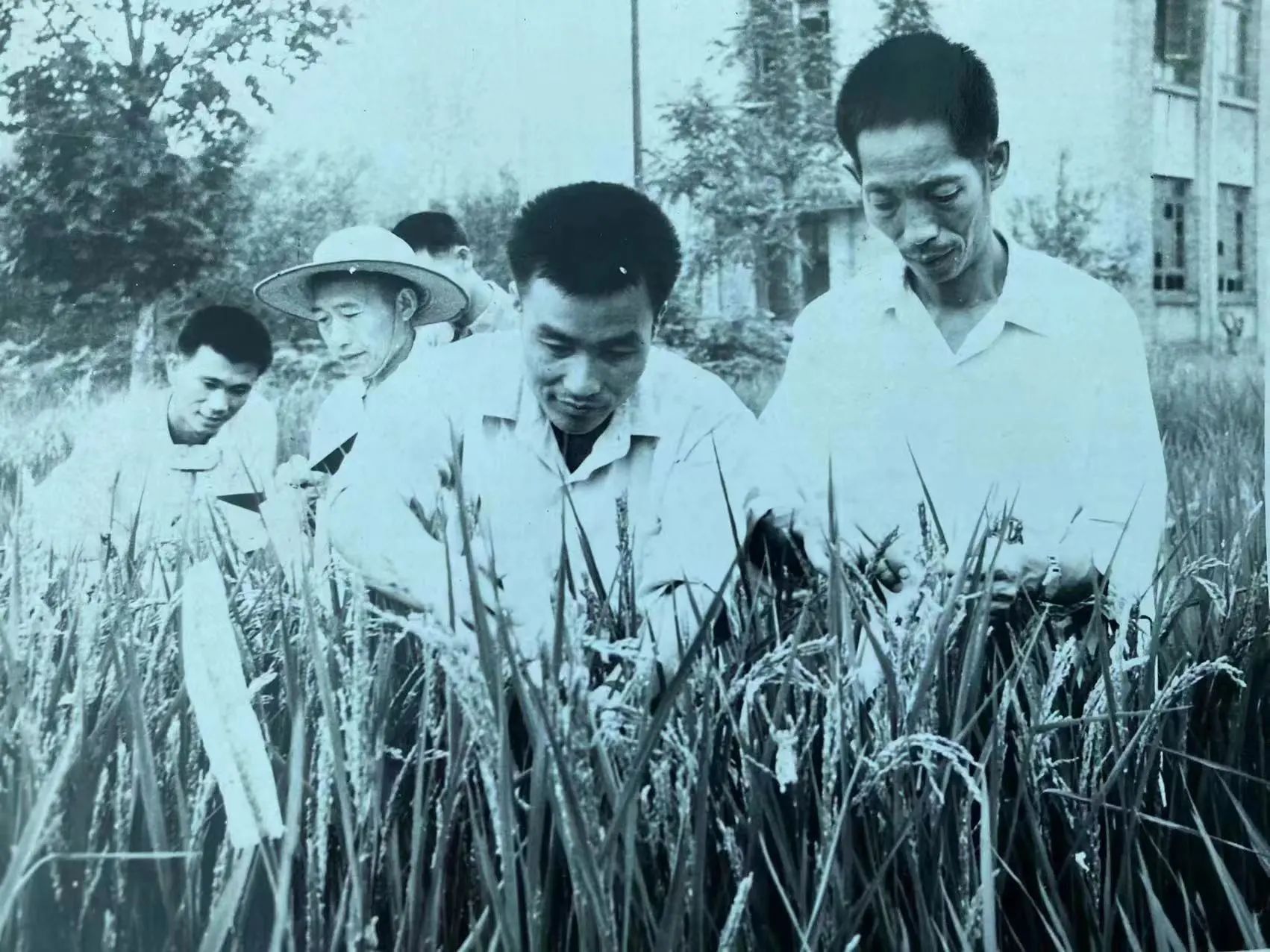 袁隆平的报账单