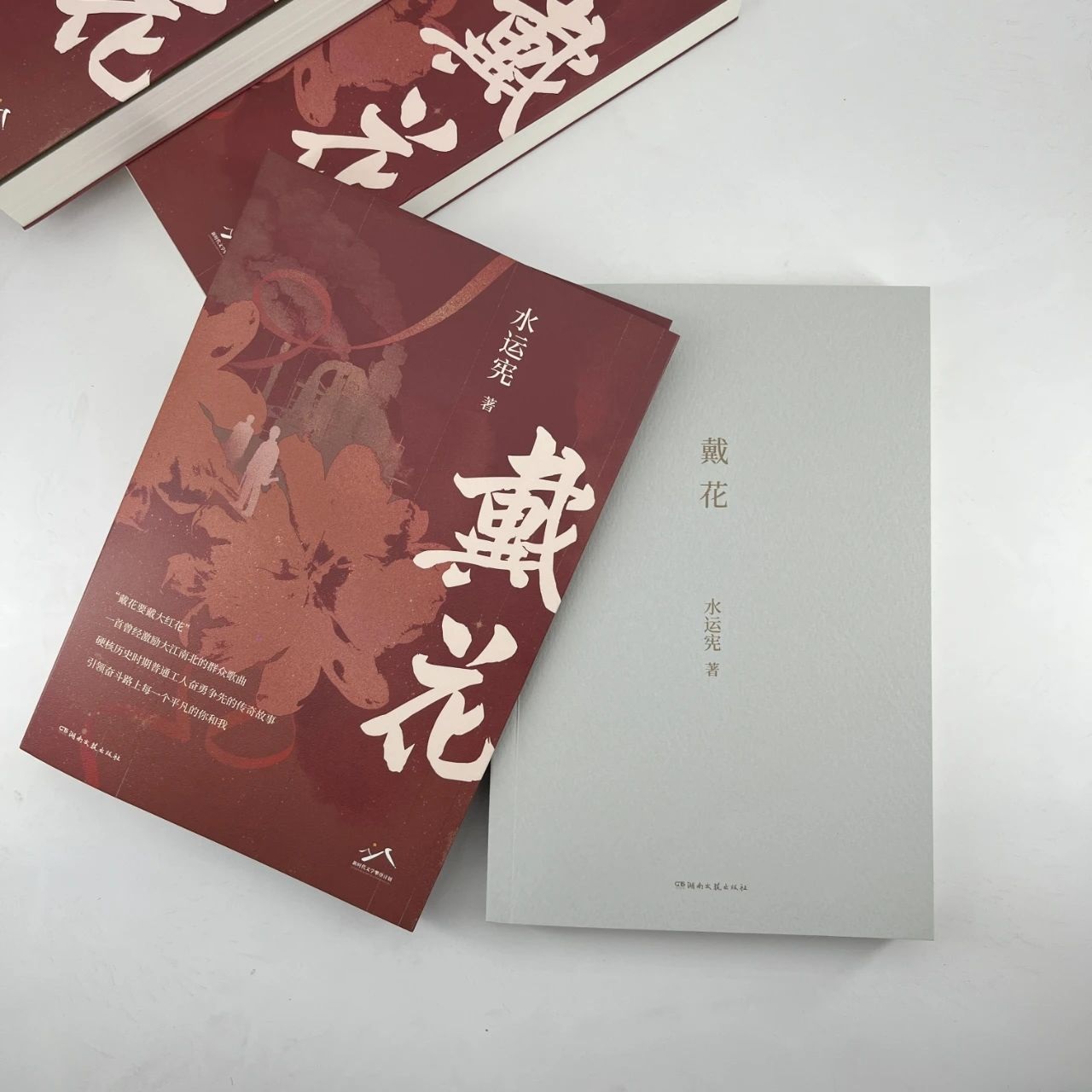 名家小说丨水运宪：我想讲一个有趣的故事，叫做《戴花》