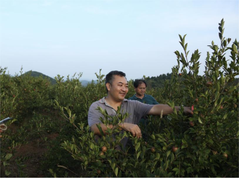 陈永忠：湖南省油茶工程技术优秀专家