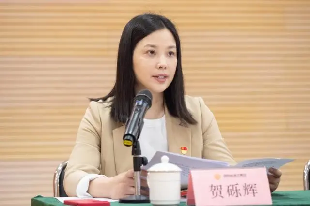 贺砾辉任湖南出版投资控股集团党委书记、董事长