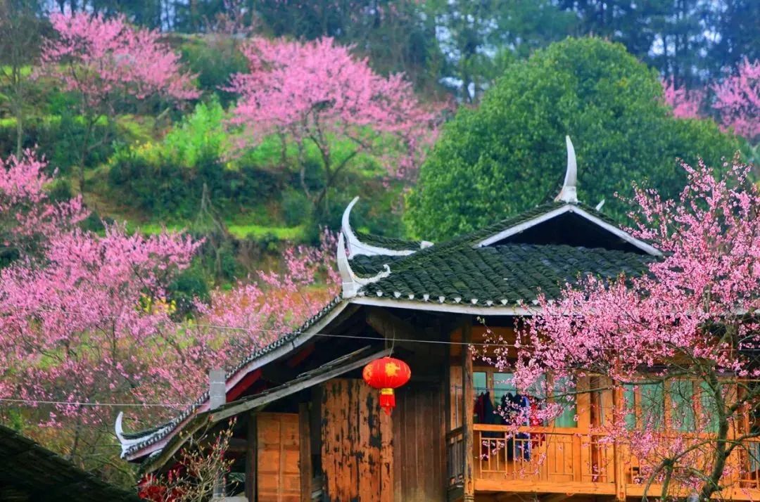 湖南两地入选第二批乡村旅游目的地