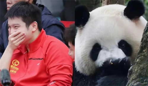 湖南伢子樊振东是留守儿童？其父亲的身份“不简单”……