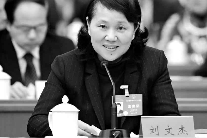 湖南省财政厅厅长刘文杰意外坠楼身亡