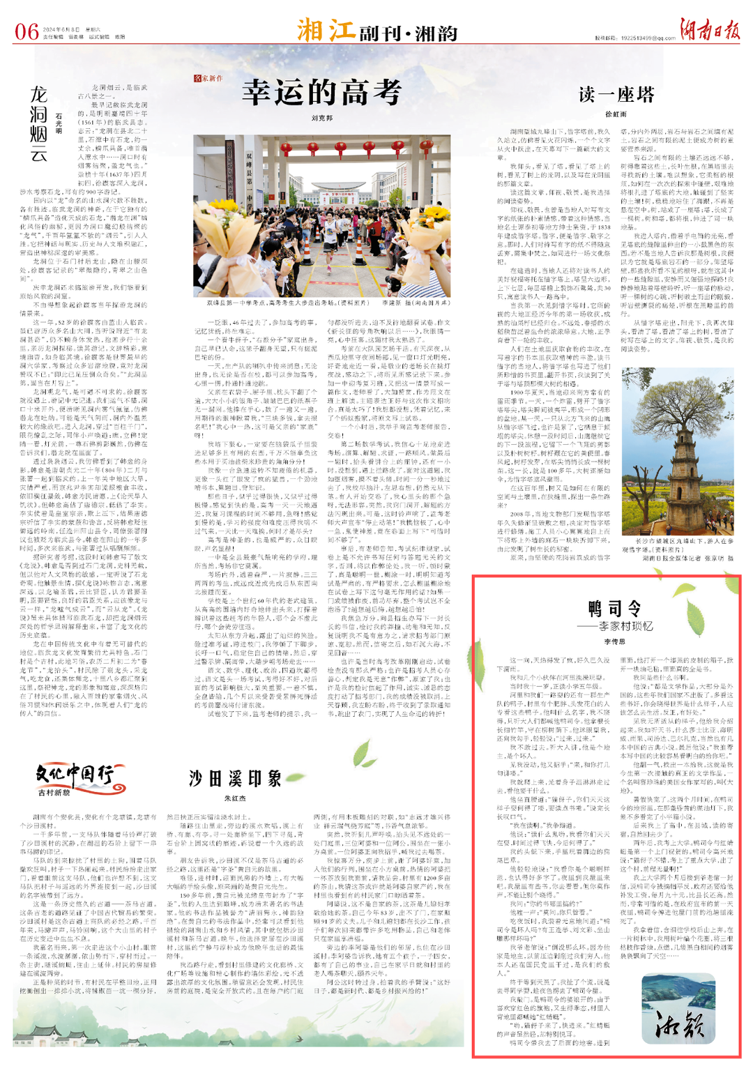 李传思散文 | 鸭司令——李家村琐忆系列（1）