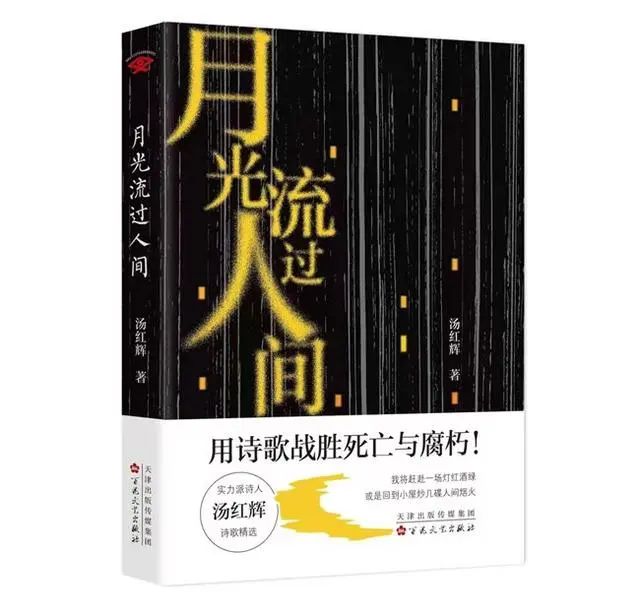 吴茂盛诗评 | 月光照进心灵的旷野——评汤红辉诗集《月光流过人间》
