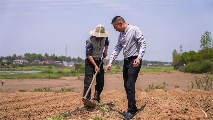 放弃百万年薪！湖南这个“80后”返乡种红薯年入580万