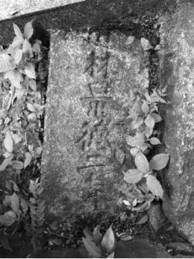 唐代最后一位状元写岳麓山，力压杜甫同题诗