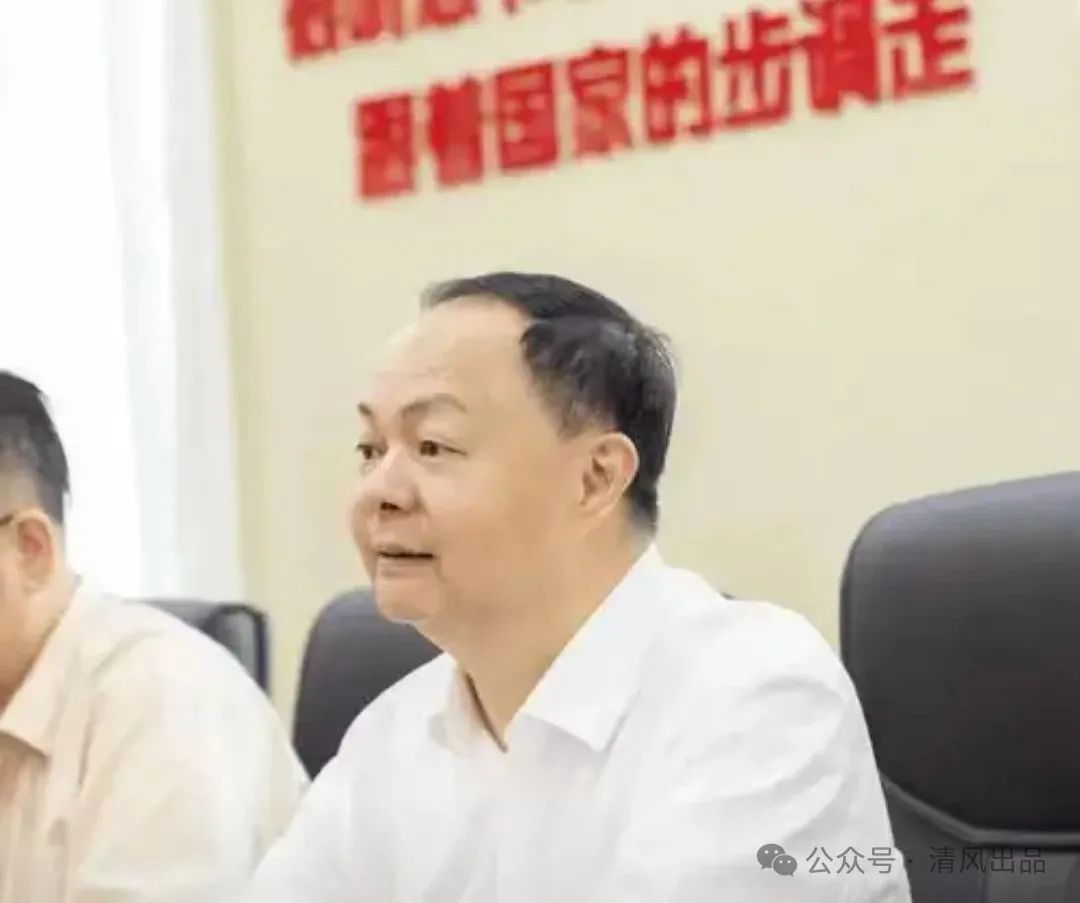 郑建新的衡阳镜像：政绩光环下的权力悖论