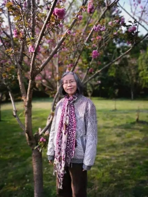 中国作家残雪领跑2025年诺贝尔文学奖赔率榜