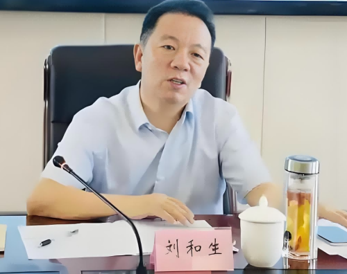 揭秘：刘和生的岳阳风云