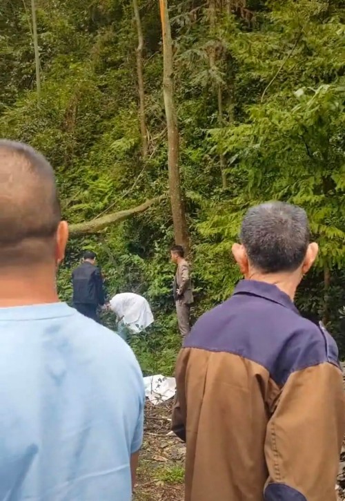 湖南一村民摘马蜂窝不幸被树砸中身亡，知情人：树断了，他被树枝砸中头部
