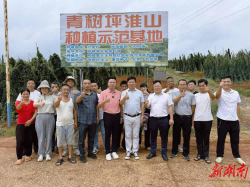 朱增辉：以“电商”为笔 描绘乡村振兴新画卷