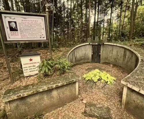 吴剑学：宁死不做日军湘乡维持会长，他死后被封上将军衔