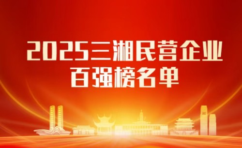 2025湖南民营企业100强，名单来了！