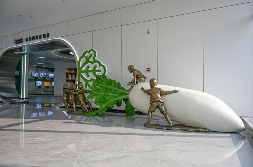 千年古镇盛产爱心大萝卜