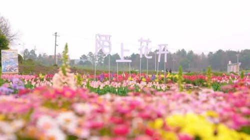 避开人潮，湖南这14处宝藏景点等你打卡