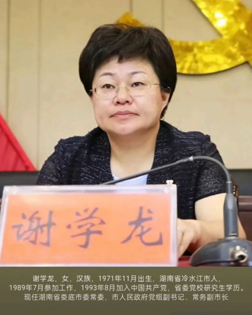 从煤矿讲台到常务副市长——湖南娄底谢学龙的权力生长与崩塌