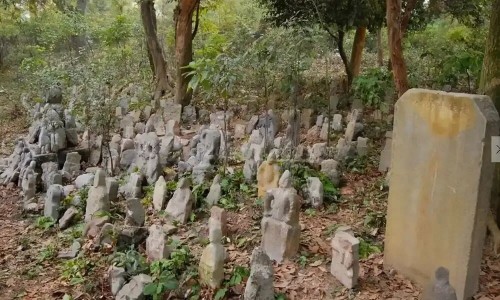 湖南道县鬼崽岭藏着上万尊石像，数量超兵马俑，究竟是舜帝祭祀之物，还是千年阴兵？