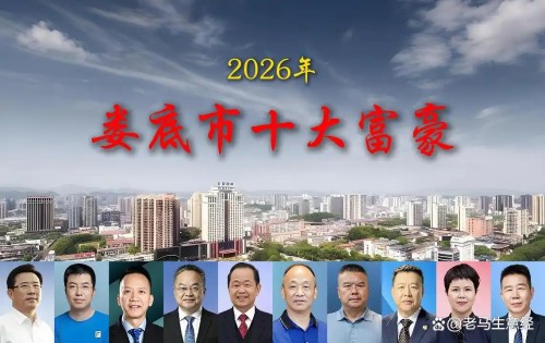湖南娄底2026年十大富豪，7人身价超百亿，一位女老板上榜