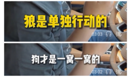 雪马批评 | 周和平你何出此言：强者是狼，弱者是狗？