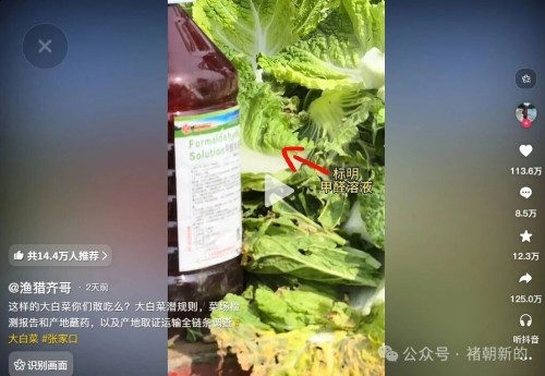 褚朝新：自媒体在曝光“甲醛白菜”，机构媒体在采访自媒体