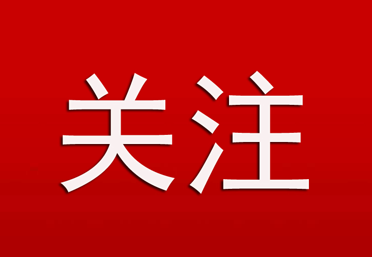 湖南公安公布4起涉嫌新型黑恶违法犯罪典型案例：249人落网，涉及网络“套路贷” 、“恶意索赔” 等