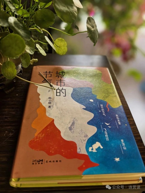 画眉诗评丨读郑小琼诗集《城市的节气》有感